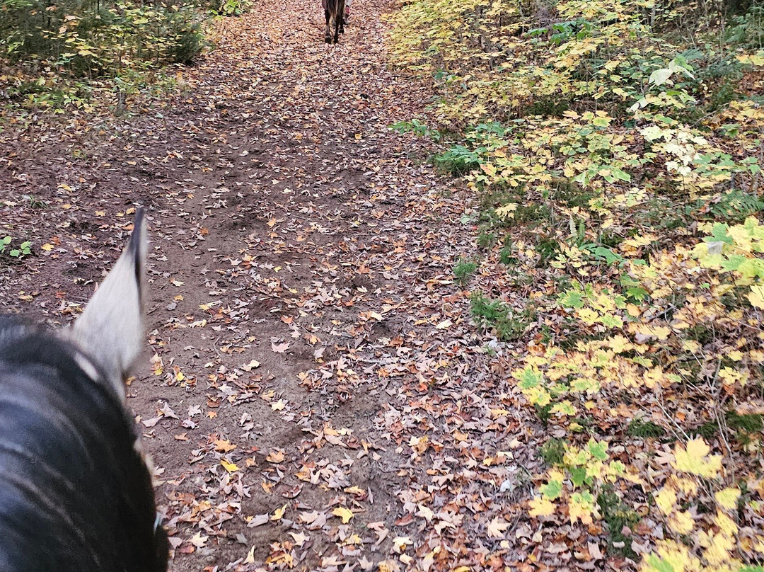South Algonquin Trails-Harcourt必去景点