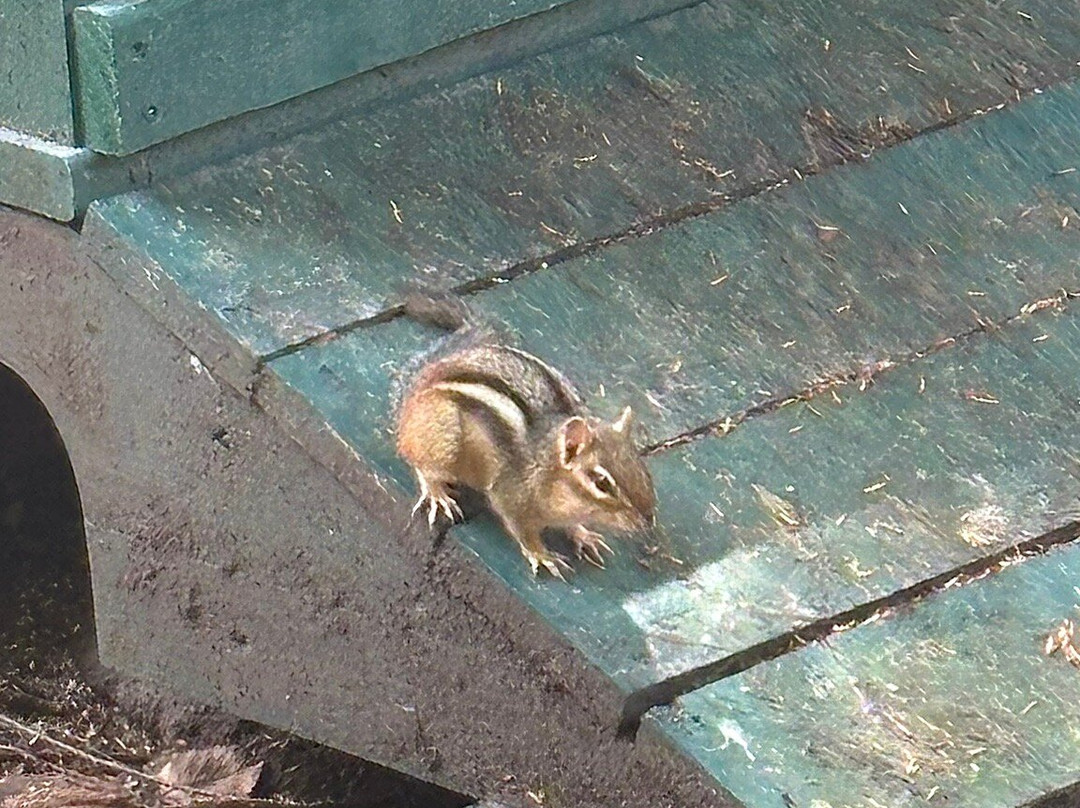 High Falls Gorge-Wilmington必去景点