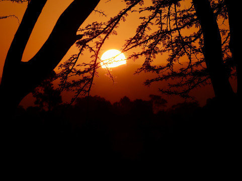 Camptrek Safaris LTD-内罗毕必去景点