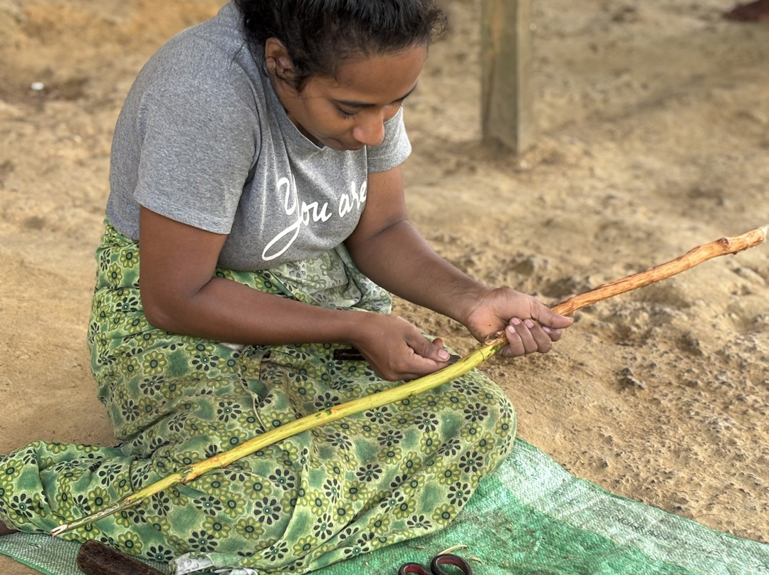 Lanka Cool Experience-卡图纳耶克必去景点