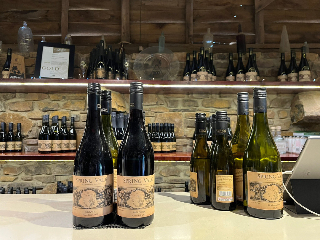 The Long Lunch Tour Co-科尔斯湾必去景点