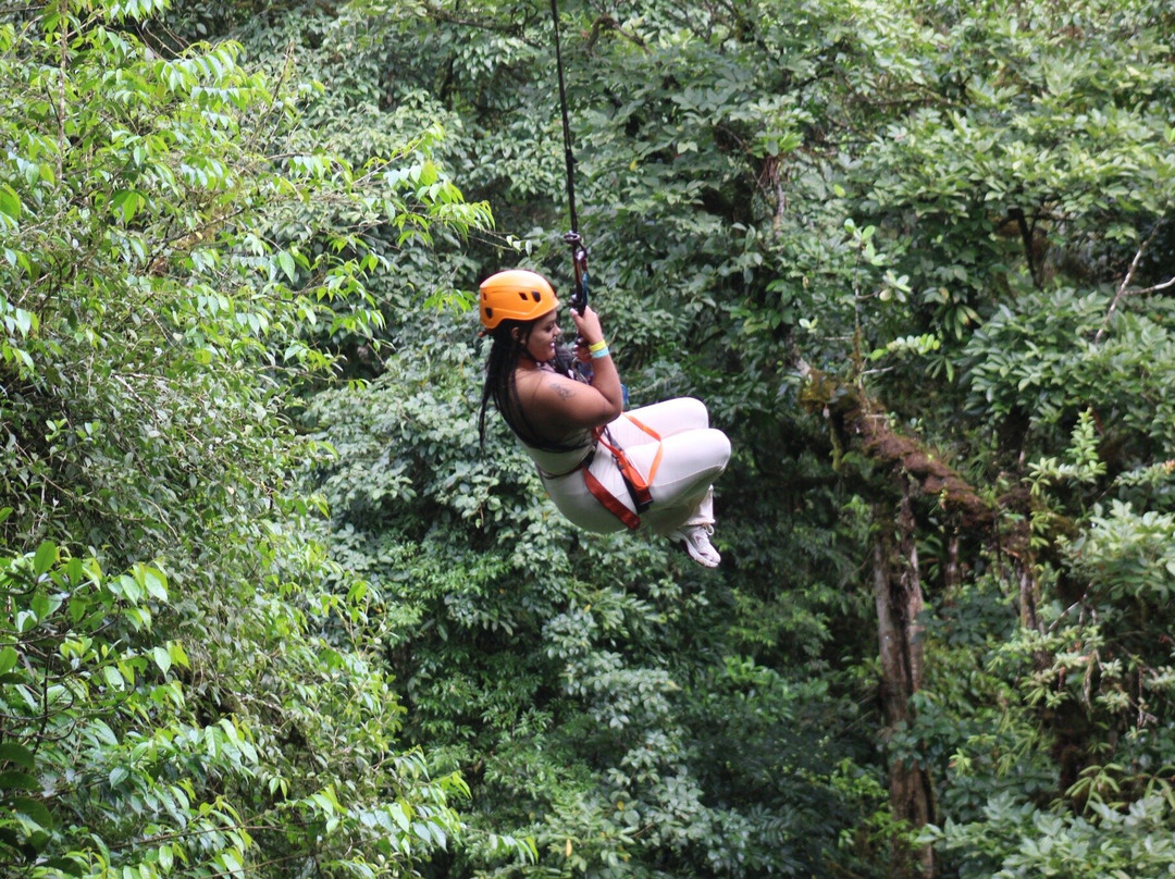 Eco Tico Tours-阿拉辉拉必去景点