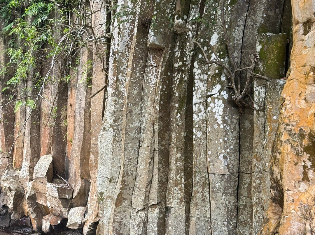 Rochester Falls-Souillac必去景点