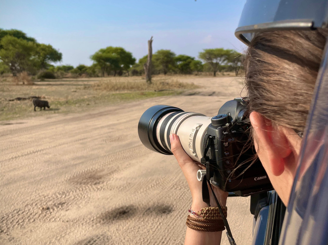 Safari Masters-阿鲁沙必去景点