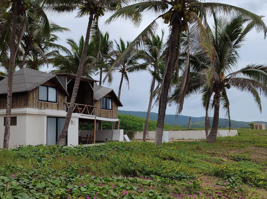 Hotel Villa Polinesia Chamela主图