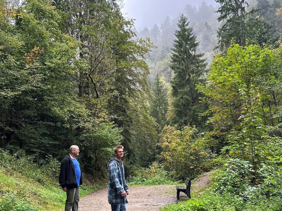 Ravennaschlucht-Breitnau必去景点