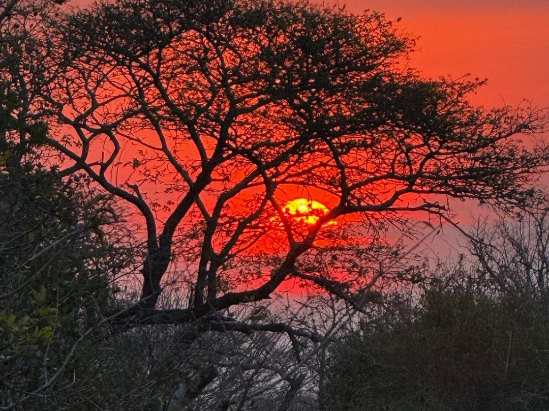 Endless Summer Tours-德班必去景点