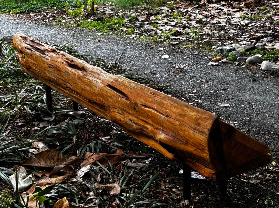 Lakeside Park and Garden Center-奥克兰必去景点