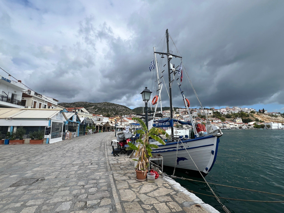 Sunshine Pension主图