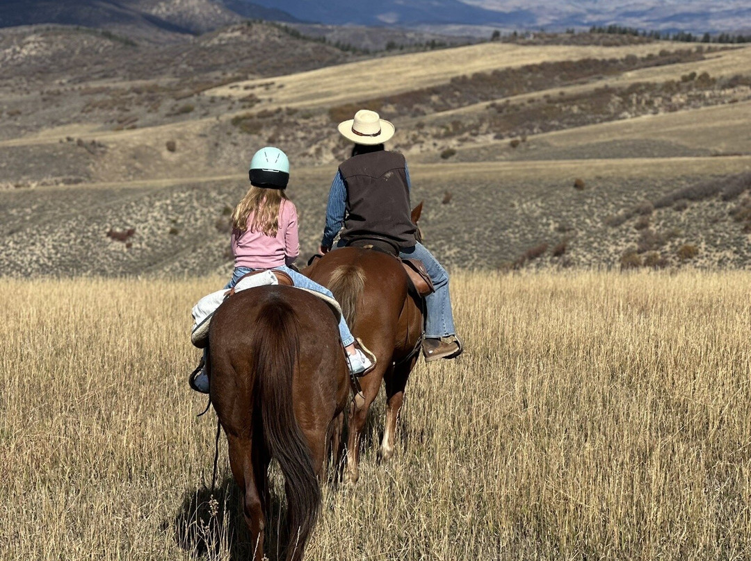 Saddleback Ranch-斯廷博特斯普林斯必去景点