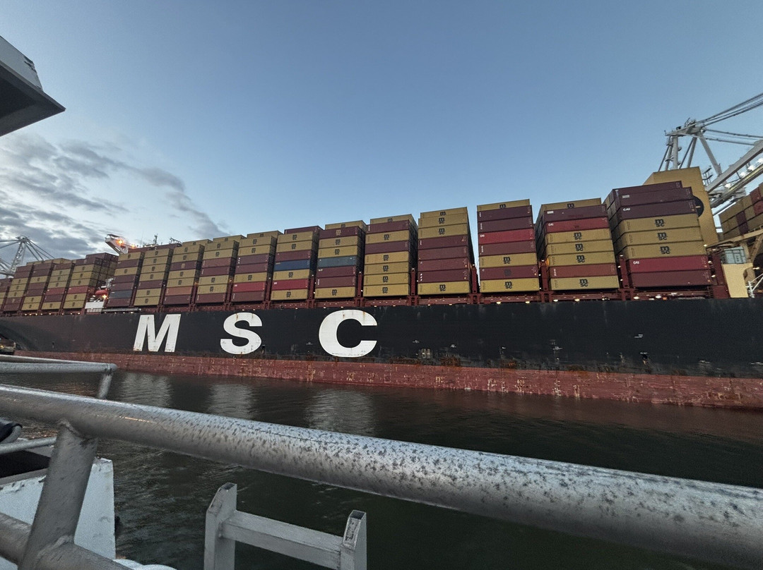 Port View Park-奥克兰必去景点