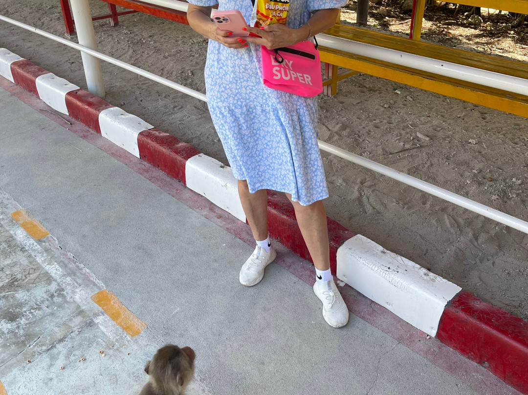 猴岛-芽庄必去景点