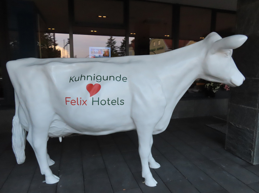Felix Hotel Kaufbeuren主图