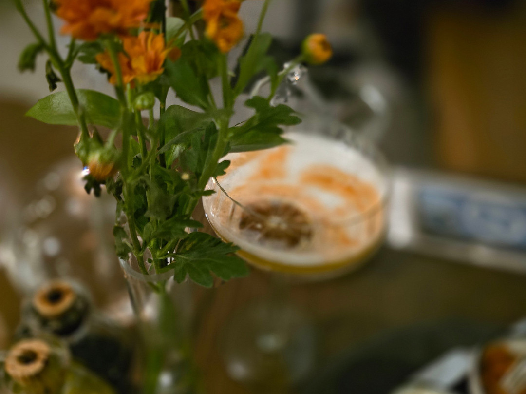 Sanctuary Mandela主图