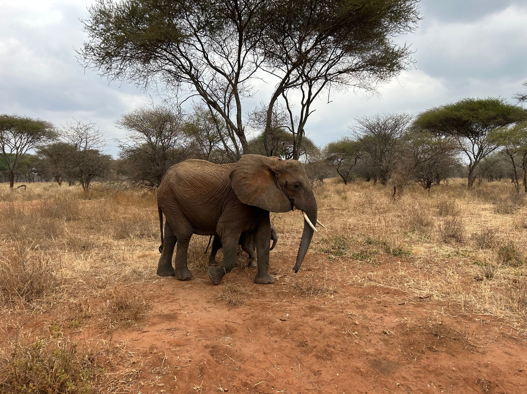 The Infinite Horizon-阿鲁沙必去景点