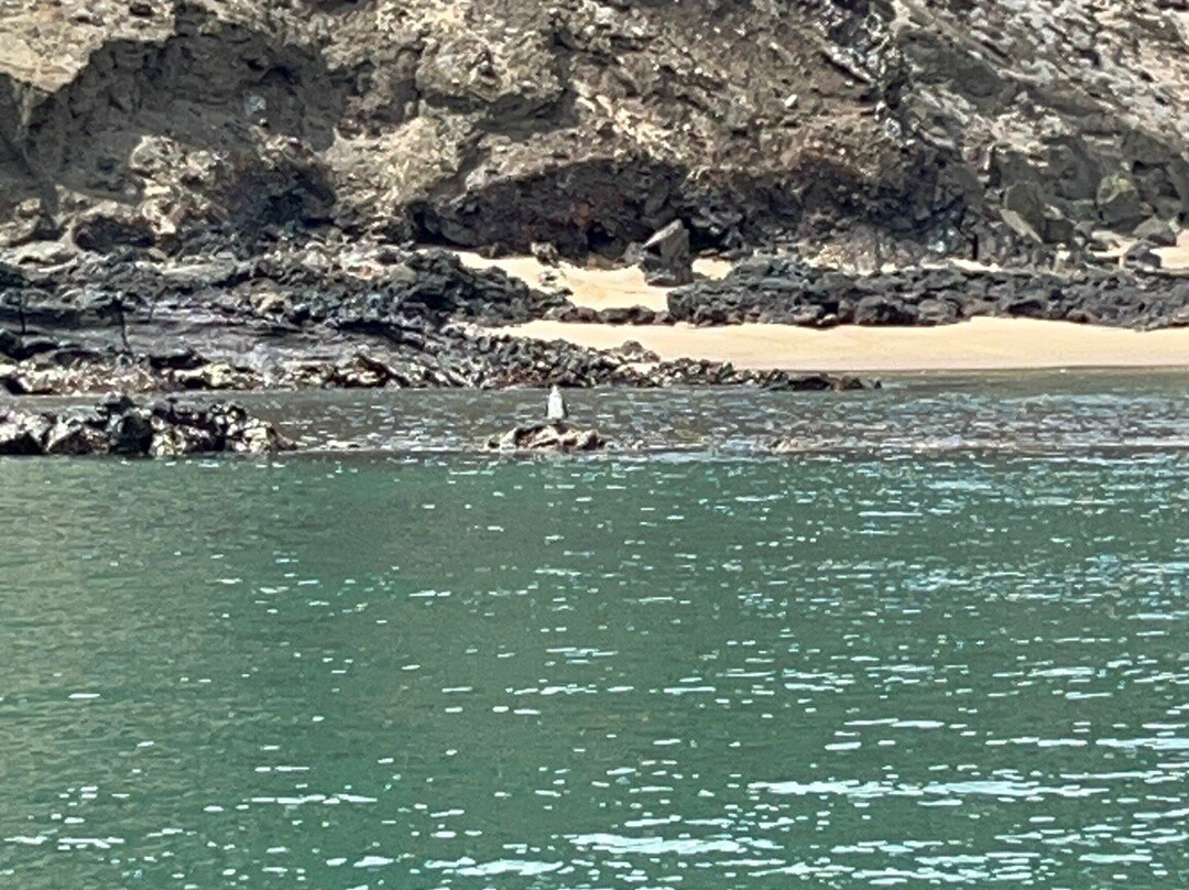 Bartolome Island, Galapagos, Ecuador-Bartolome必去景点