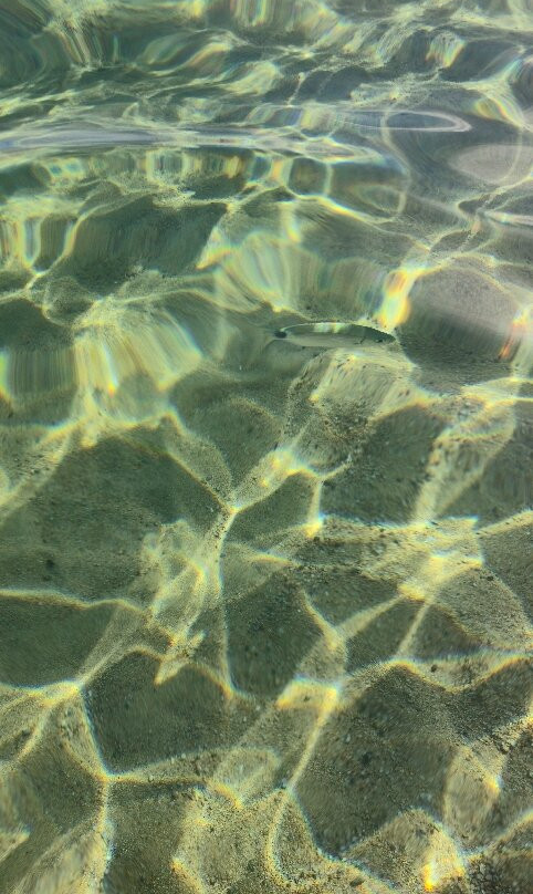 Tanca Manna Beach-Arzachena必去景点