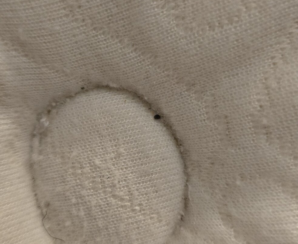 Hyatt Place Poughkeepsie/Hudson Valley主图