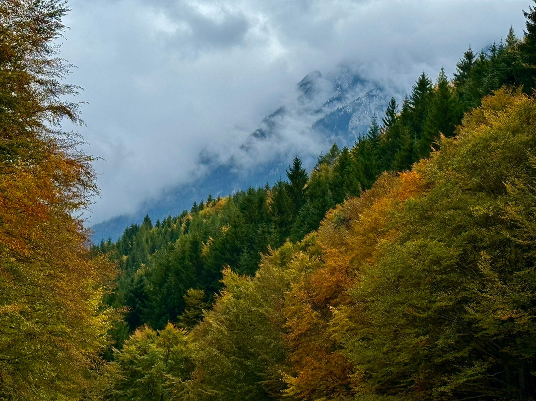Tours in Romania-布加勒斯特必去景点