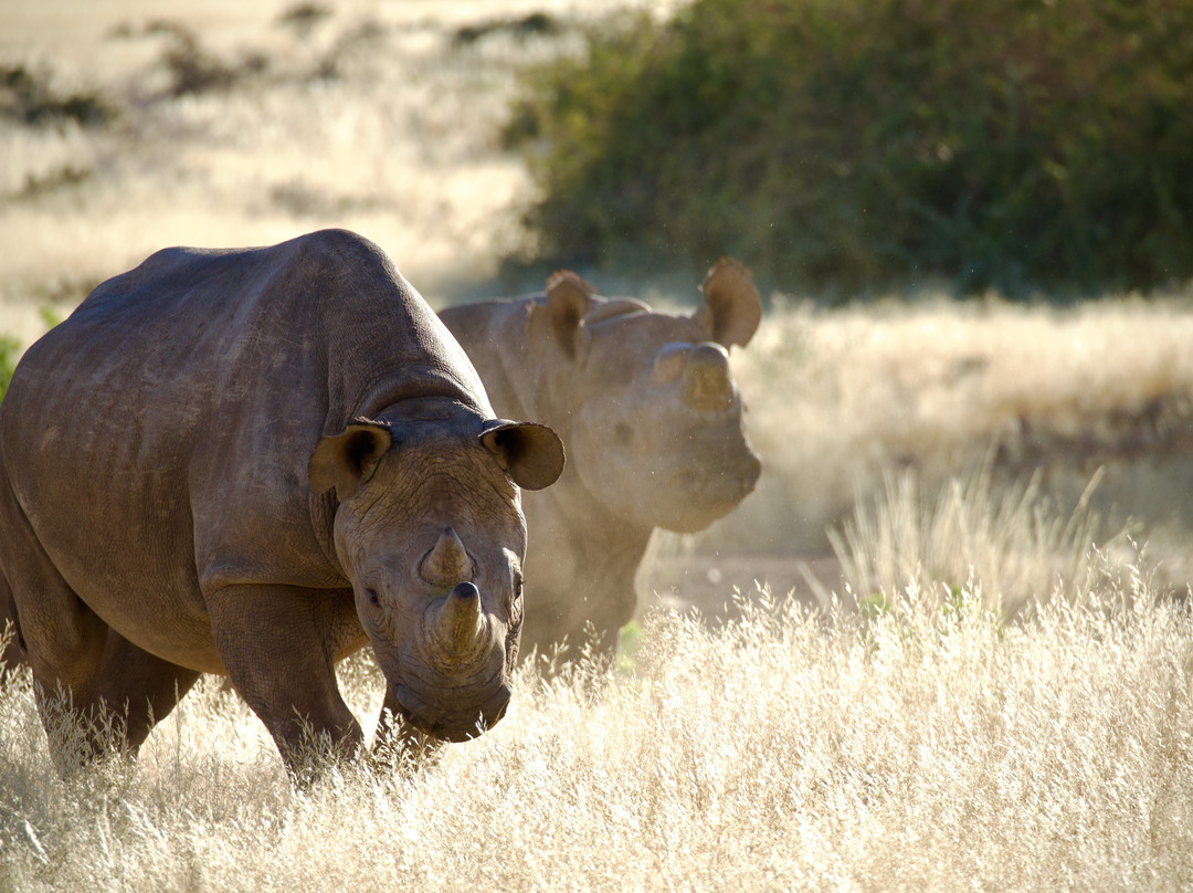 Great Explorations Namibia-温德和克必去景点