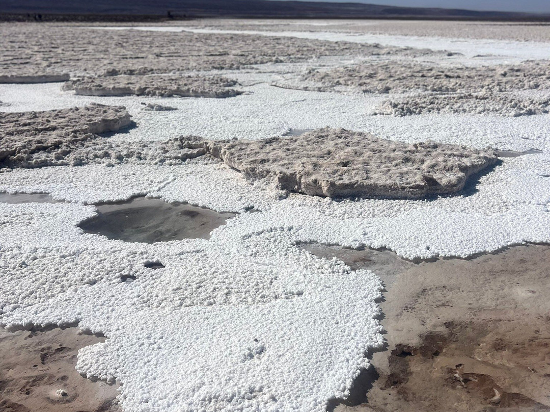 Lagunas Baltinache-圣佩德罗-德阿塔卡马必去景点