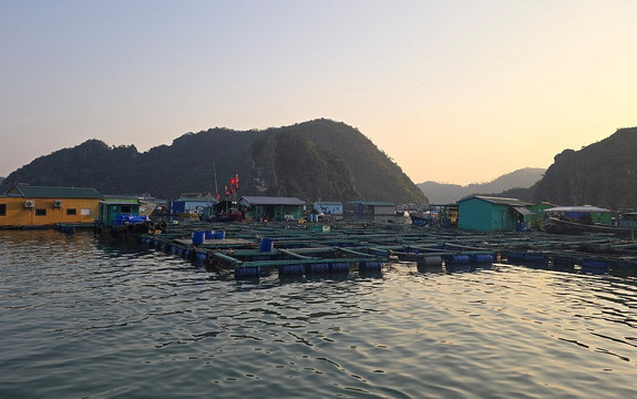 Vietnam Venture Travel-Cat Ba Town必去景点