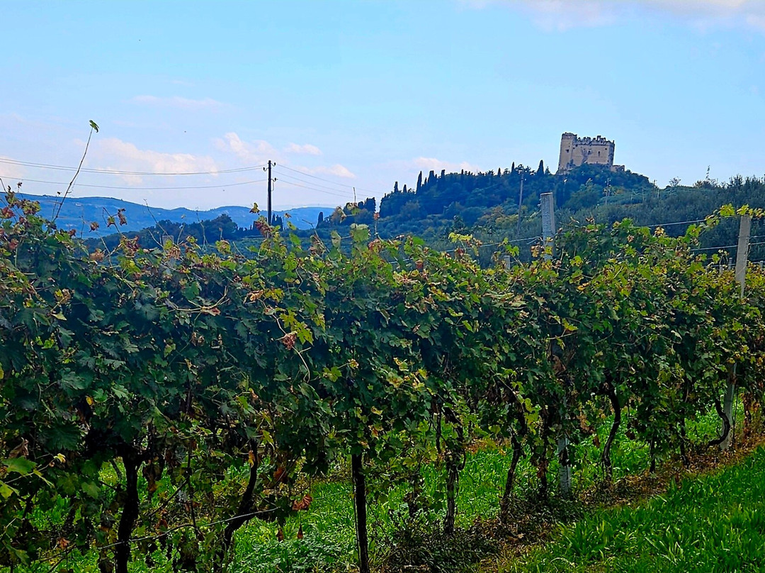 Sporting Hotel San Felice主图