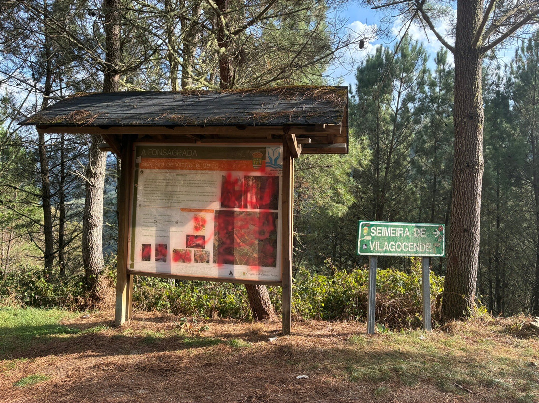 Cascada A Seimeira de Vilagocende-Fonsagrada必去景点