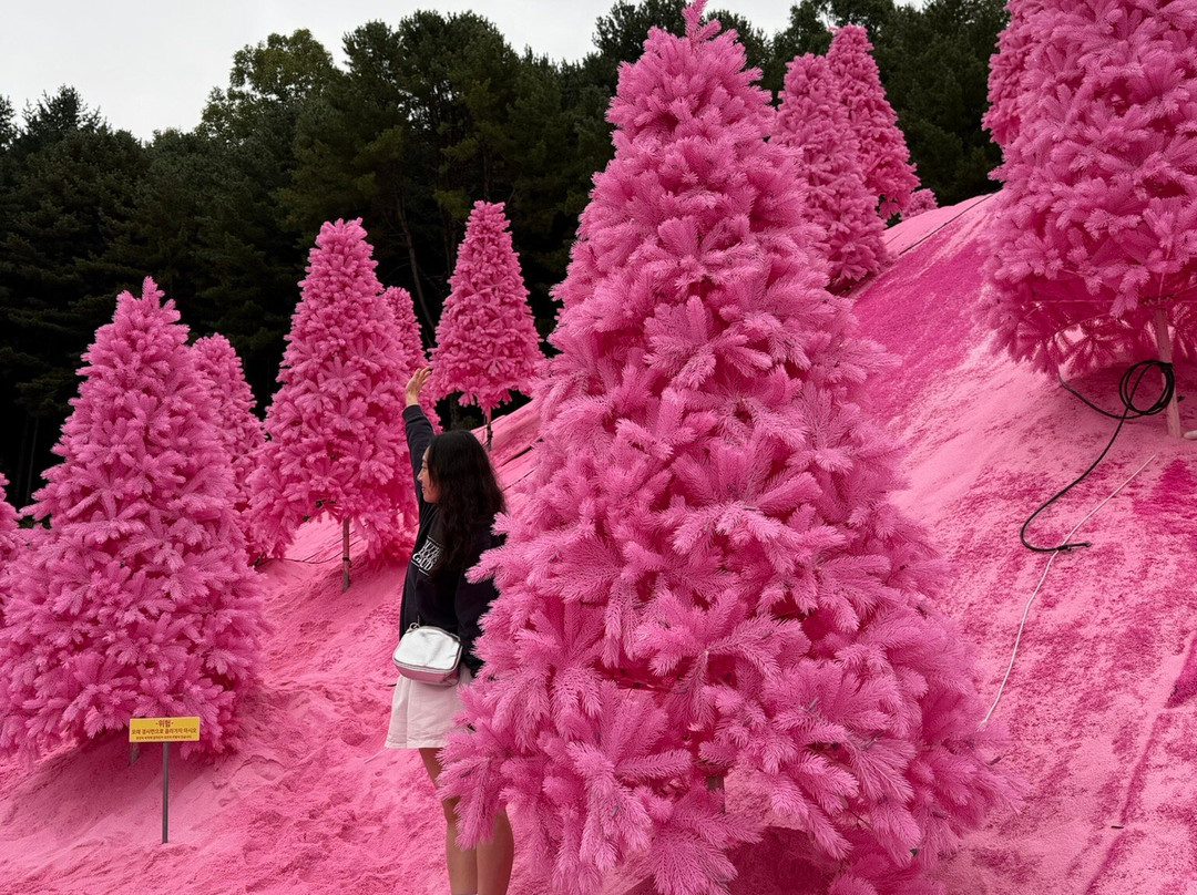 Herb Island-抱川市必去景点