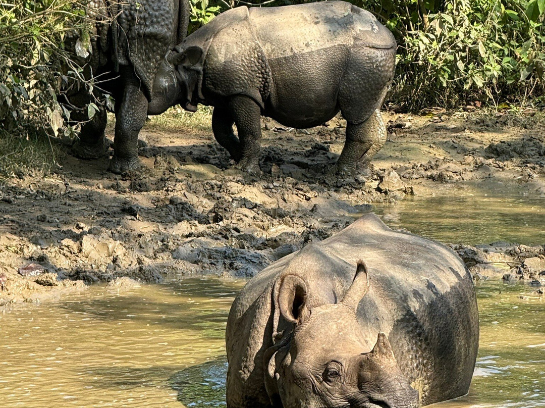 Soaltee Westend Resort Chitwan主图