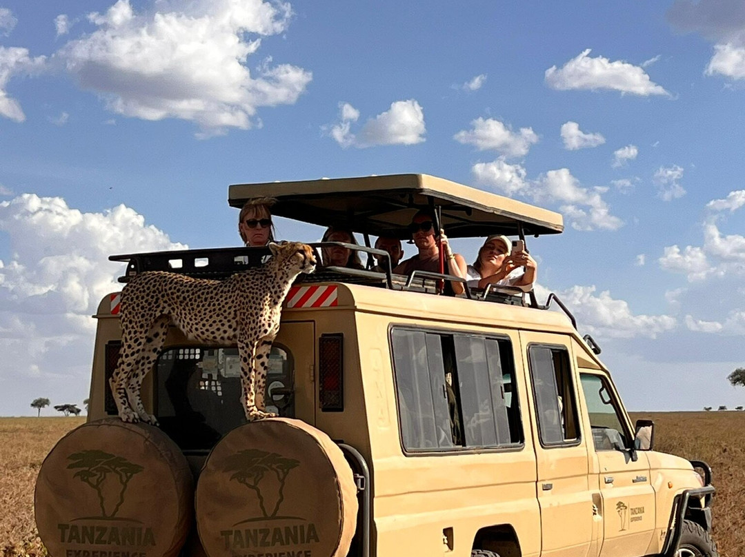 Tanzania-Experience-阿鲁沙必去景点