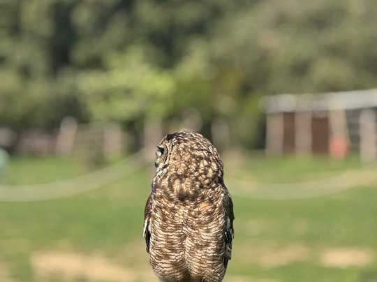 Roma World-罗马必去景点