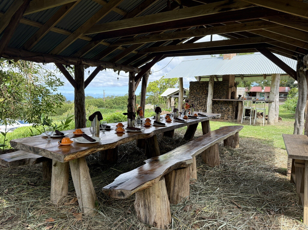 O'o Farm-库拉必去景点