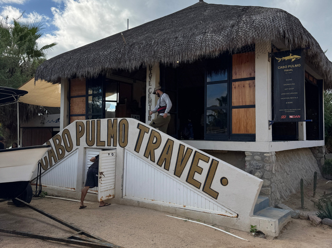 Cabo Pulmo Travel-Cabo Pulmo必去景点