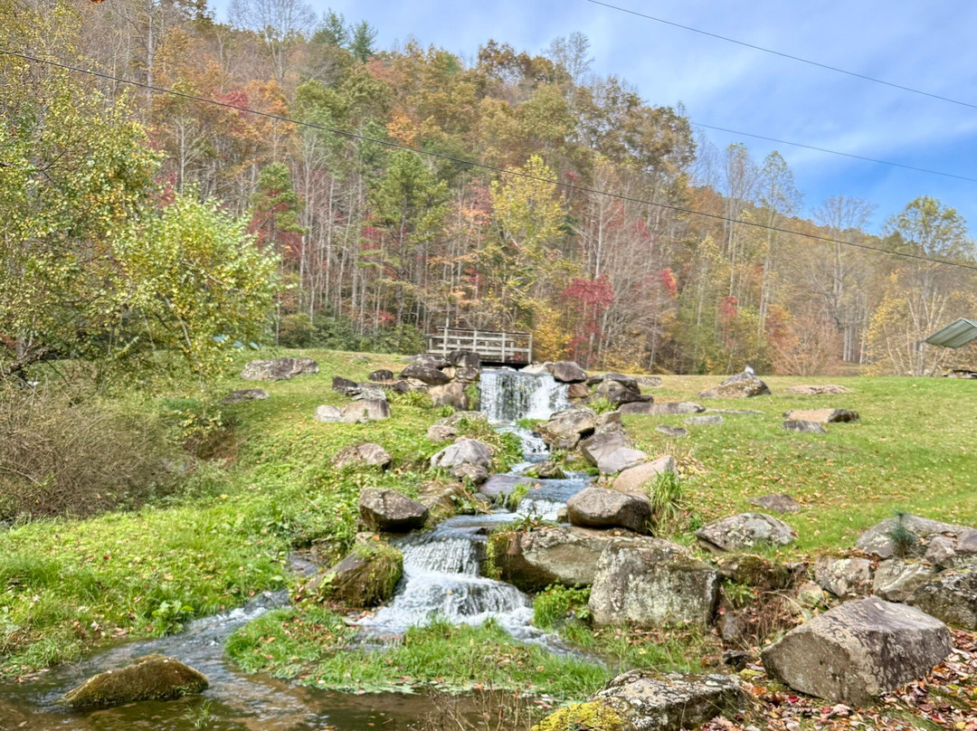 Cooper Creek Trout Farm & Pond-布赖森城必去景点