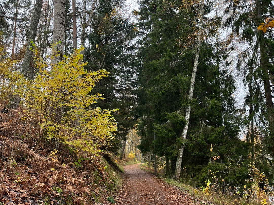 Best Western Hotel Tranas Statt主图