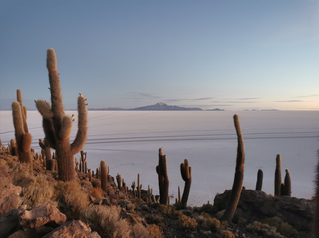 Tupiza Tours-Tupiza必去景点