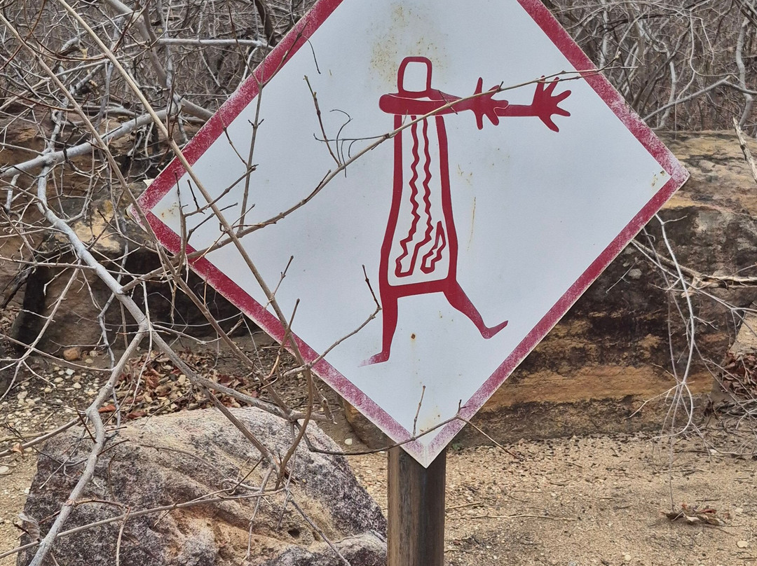 卡皮瓦拉山国家公园-Serra da Capivara National Park必去景点