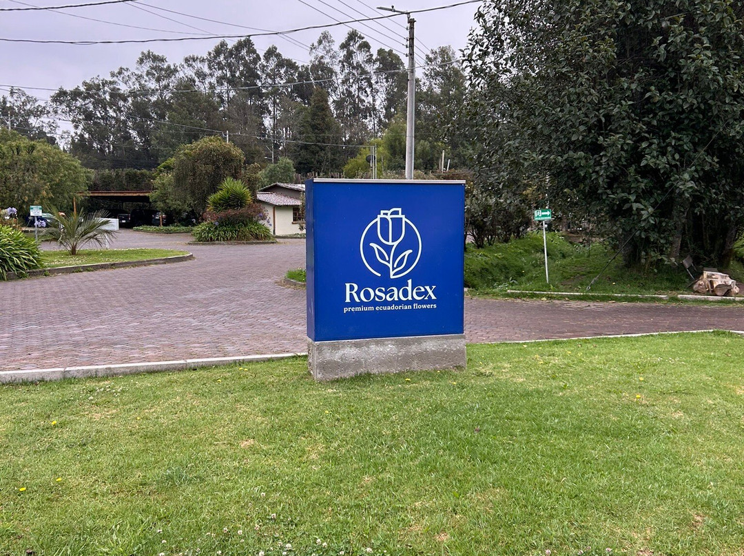 Quitsato Sundial-Cayambe必去景点