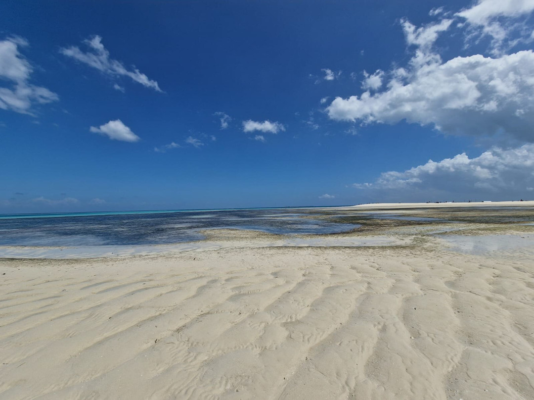Nakupenda Tours Zanzibar-桑给巴尔市必去景点