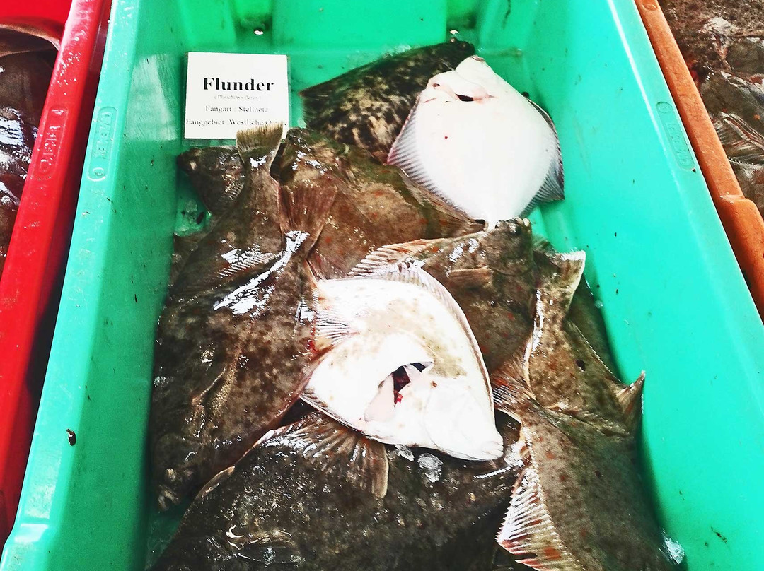 Alter Strom-瓦勒慕必去景点