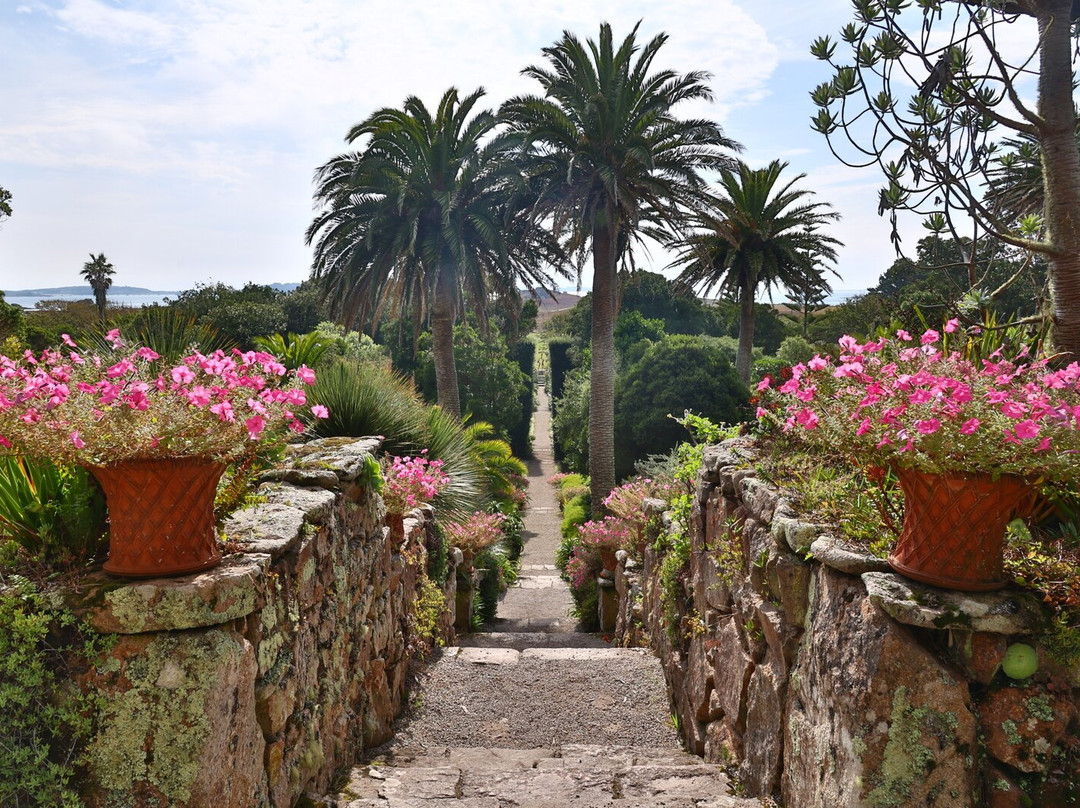 Tresco Abbey Garden & Valhalla Collection-Tresco必去景点