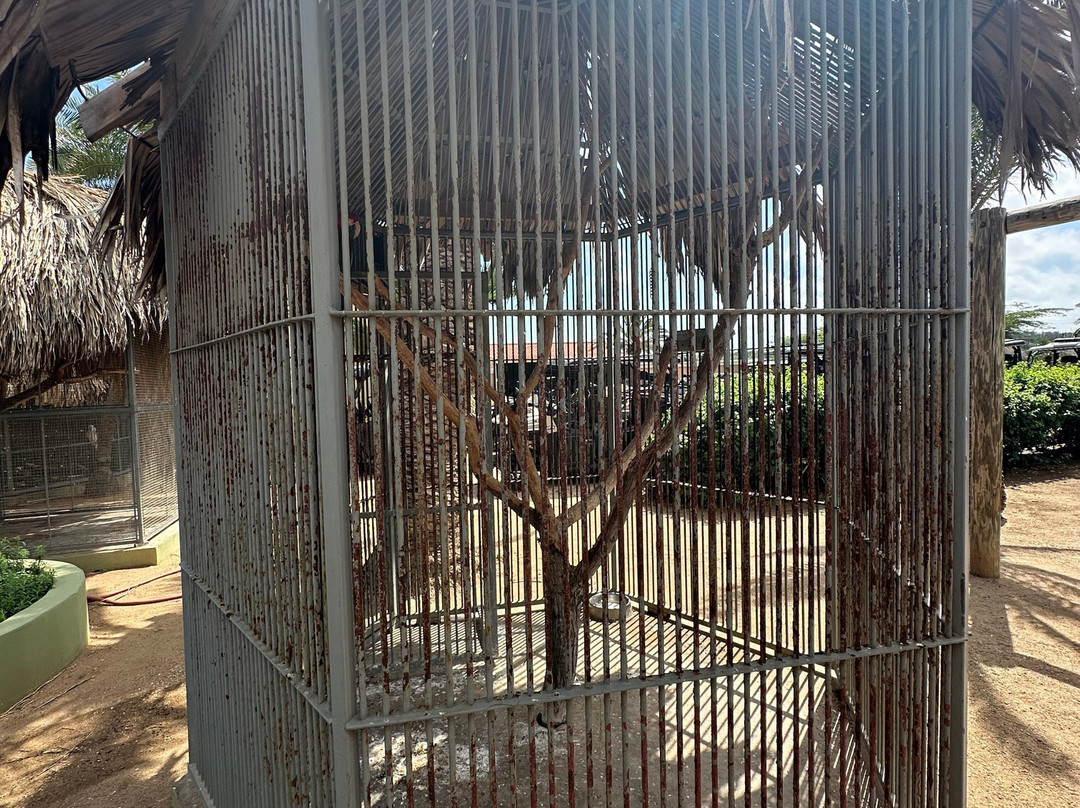 Philip's Animal Garden-Noord必去景点