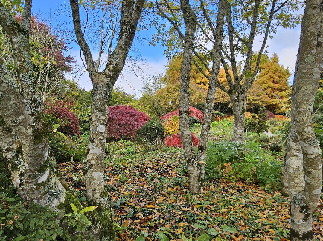 Wiley At Wildside-Tavistock必去景点