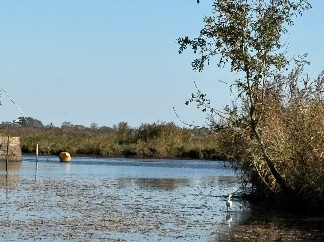 Promenades en Chaland - Valerie Aoustin-Huard-Saint-Joachim必去景点