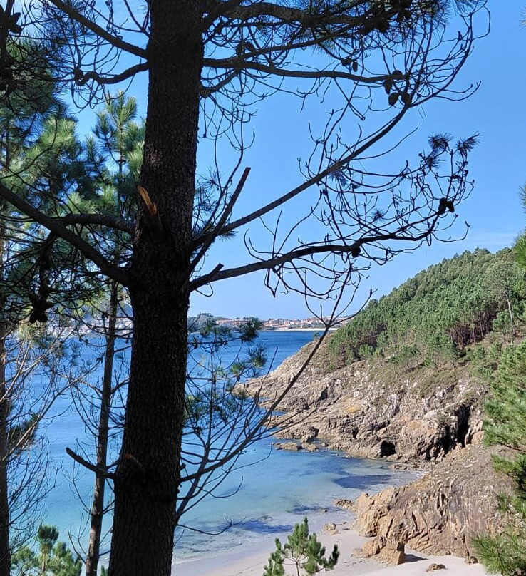 Tubuencamino-圣地亚哥德孔波斯特拉必去景点