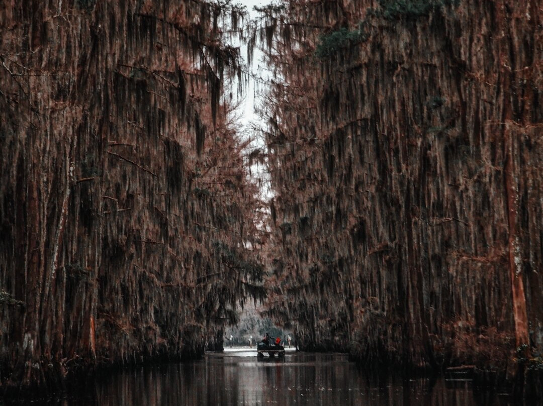 Mossy Brake Camp Swamp Tours-Karnack必去景点
