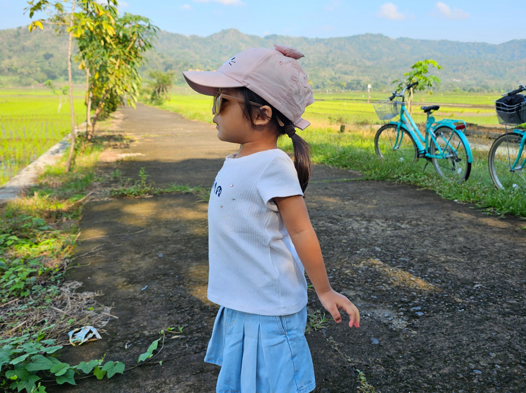 Moana - Sustainable Bicycle Tour-Yogyakarta必去景点