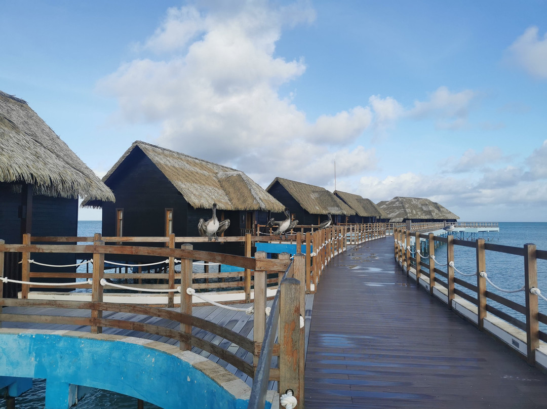 Cayo Guillermo酒店住宿-Playa Luxury Cayo Guillermo Hotel