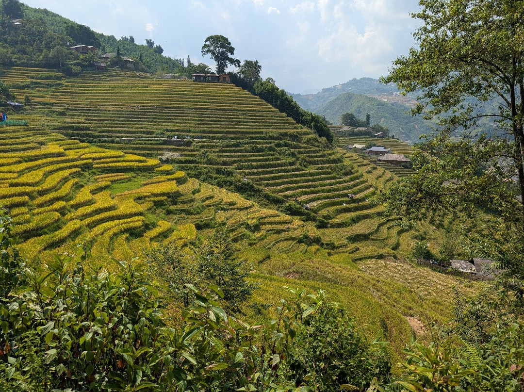 Mango Trekking Tours sapa-沙巴必去景点